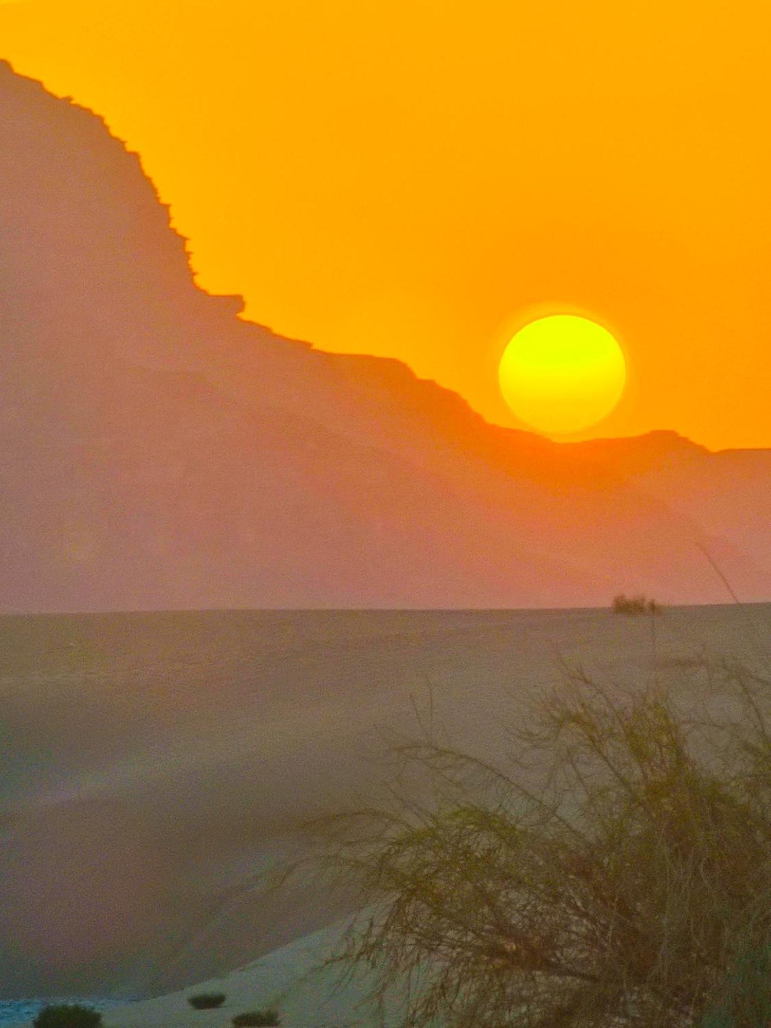 Ammar Rum Camp And Tours Wadi Rum Exterior photo